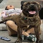 FB_IMG_1764513634422