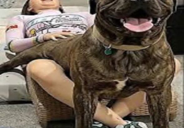 FB_IMG_1764513634422