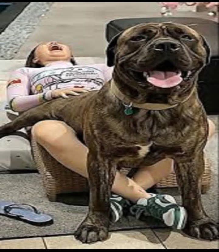 FB_IMG_1764513634422