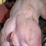 FB_IMG_1764552280752